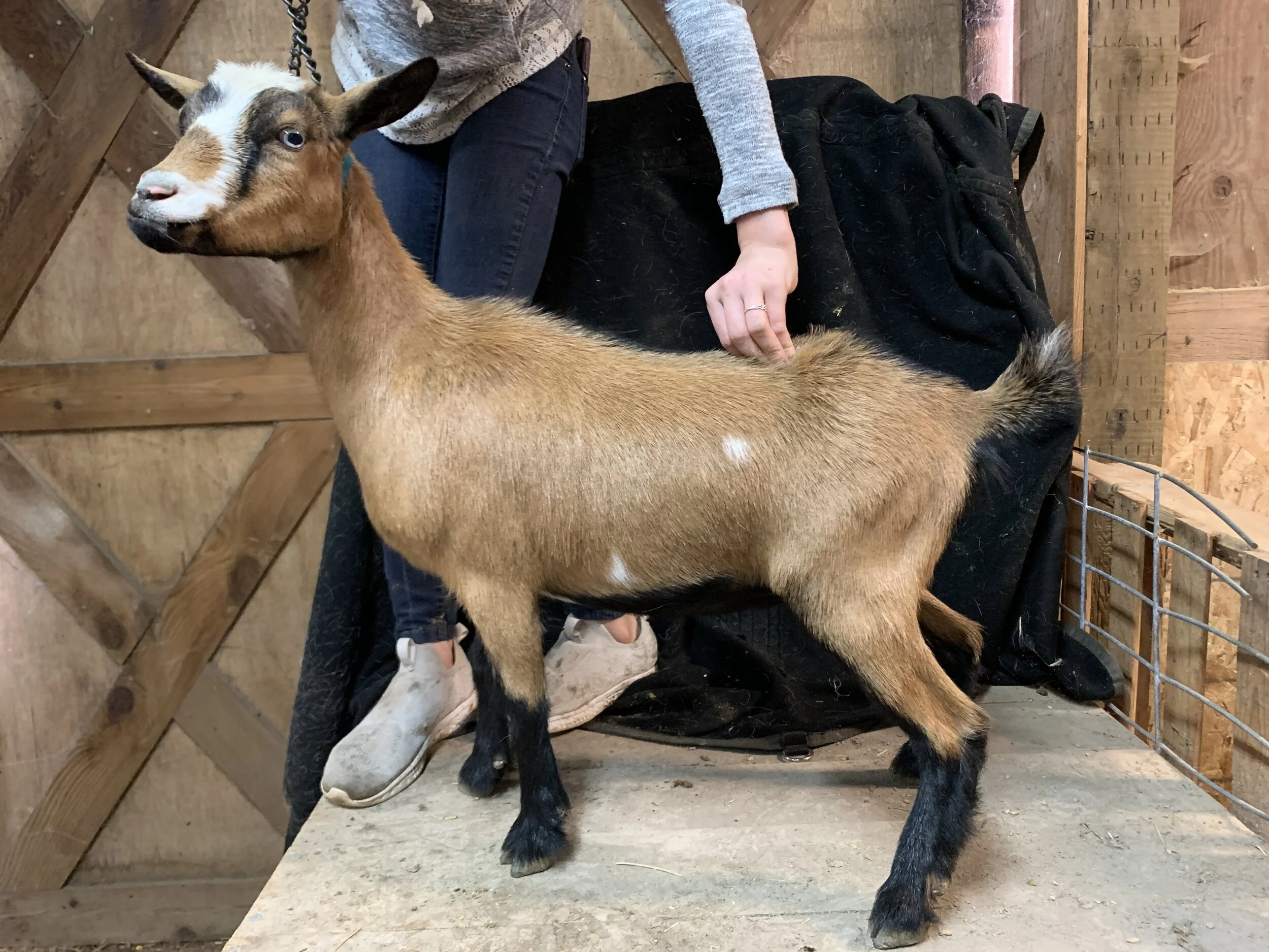 7e4a5c47 2657 4780 8382 f26a32d84199