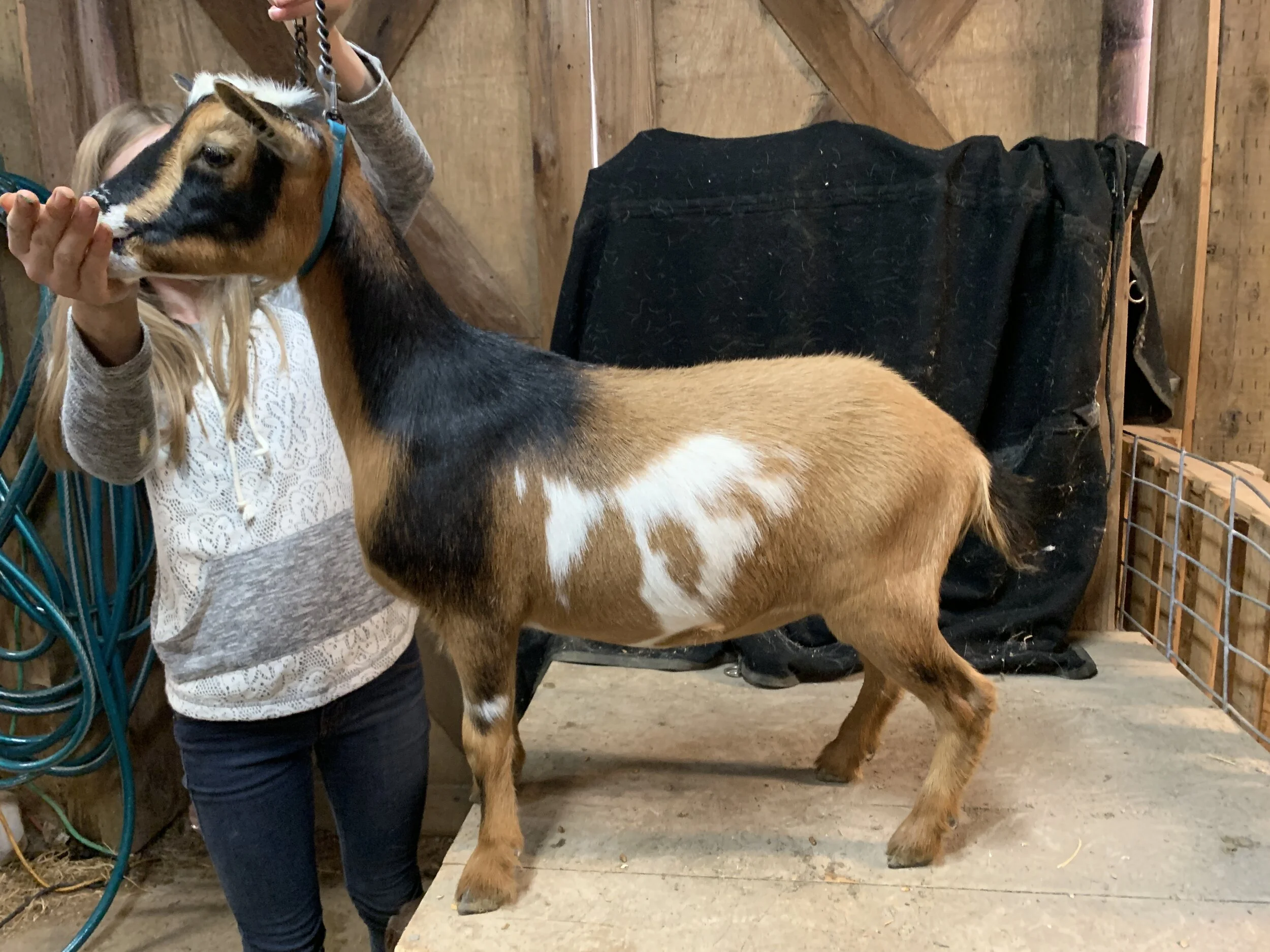 eb68c53a 5414 4e69 992e 829f56631f44